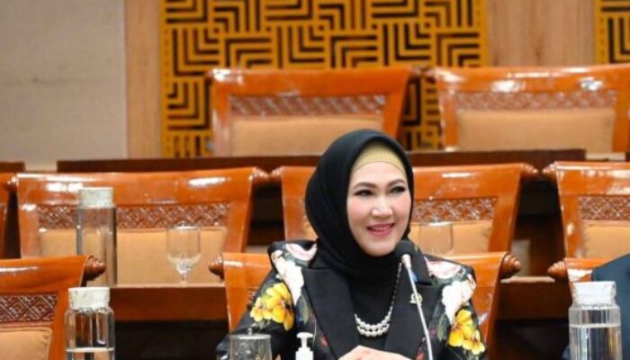 Komisi X DPR RI Desak Kepastian Hukum Bagi Guru Honorer