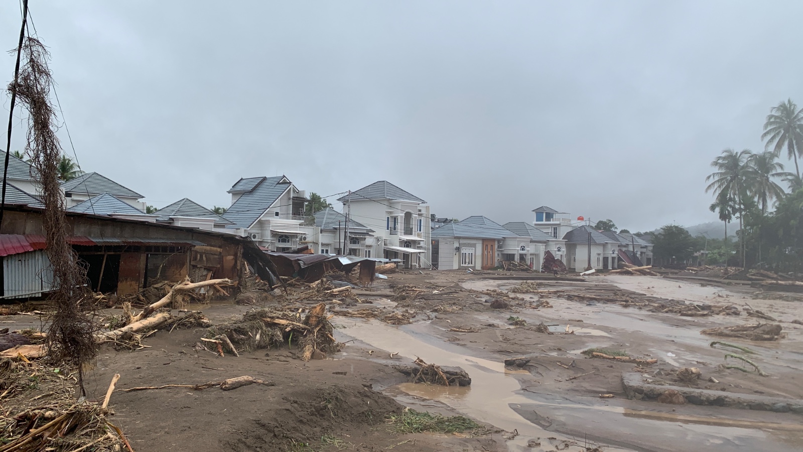 Kerusakan akibat banjir yang membawa material pohon dan lumpur di pemukiman rumah warga di wilayah Lubuk Minturun, Koto Tengah, Kota Padang, Sumaetra Barat, pada Kamis (27/11/2025). (Foto: Dok. BNPB)