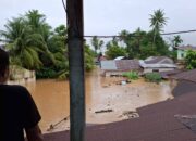 Kota Padang Darurat Bencana Alam, Siswa PAUD hingga SMP Belajar Daring hingga 29 November 2025