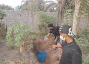 Tak Mau Berbagi Hotspot Usai Threesome, Seorang Pria Tewas Membusuk di Kebun