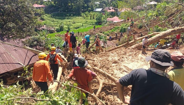 Alex Indra Lukman Soroti Penanganan Tumpukan Kayu Pascabanjir Bandang di Padang