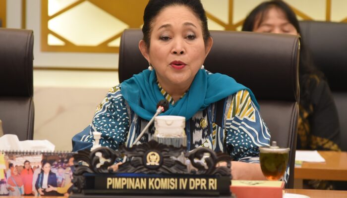 Raker Komisi IV DPR Bersama Menhut, Titiek Soeharto Sebut Miris Lihat Truk Angkut Kayu Hutan 2 Hari Pasca-Banjir Sumatera