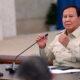 Presiden Prabowo Subianto. (Foto: Dok. BPMI Setpres/Muchlis Jr)