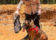 Kisah Reno, Anjing K-9 yang Gugur Saat Mencari Korban Longsor di Agam Sumbar