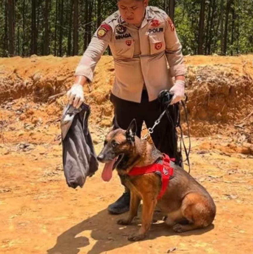 Reno, anjing K-9 yang gugur saat mencari korban longsor di Agam, Sumbar. (Foto: Dok. Humas Polri)