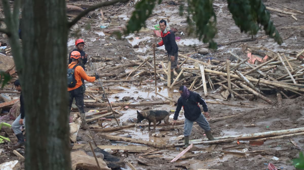 Polri mengerahkan Detasemen K9 Unit SAR untuk membantu pencarian korban bencana longsor di Desa Pasirlangu, Kecamatan Cisarua, Kabupaten Bandung Barat, Jawa Barat, Senin (26/1/2026). (Foto: Dok. BNPB)