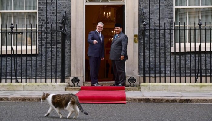 Larry The Cat “Sambut” Kedatangan Presiden Prabowo di Downing Street