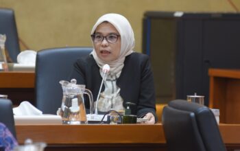 Anggota Komisi IX DPR Neng Eem Marhamah Zulfa. (Sumber Foto: Arief/Karisma/dpr.go.id)