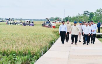 Presiden Prabowo menghadiri Panen Raya di Desa Kertamukti, Kabupaten Karawang, Provinsi Jawa Barat, pada Rabu, 7 Januari 2026. (Foto: Dok. BPMI Setpres/Laily Rachev)