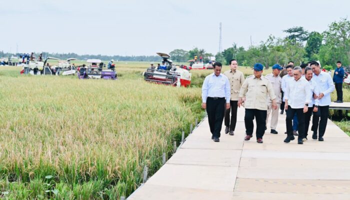 Swasembada Pangan, Presiden Prabowo Sebut Tak Ada Bangsa Merdeka bila Ketergantungan Impor