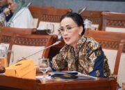 Anggota Komisi I DPR Amelia Anggraini. (Sumber Foto: Andri/dpr.go.id)