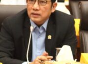 Zulfikar Hamonangan Dorong Pembatasan Produk Online demi Selamatkan Pedagang Tanah Abang