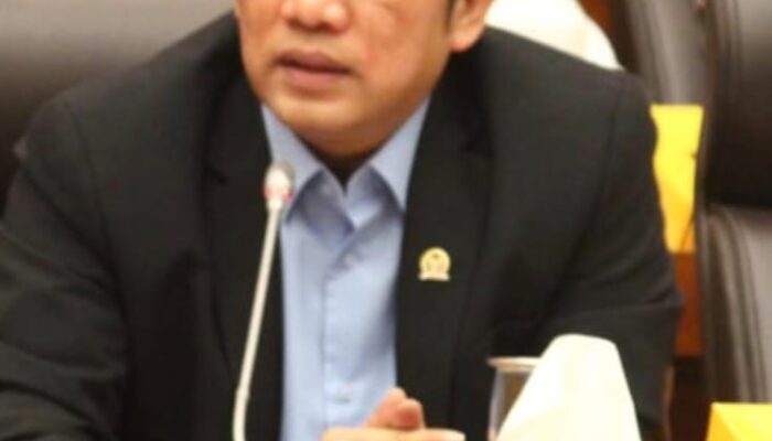 Zulfikar Hamonangan Dorong Pembatasan Produk Online demi Selamatkan Pedagang Tanah Abang