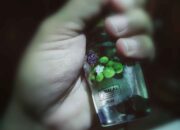 Ilustrasi sertifikasi halal. (Sumber Foto: MUI Digital)