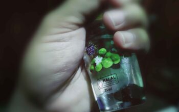 Ilustrasi sertifikasi halal. (Sumber Foto: MUI Digital)