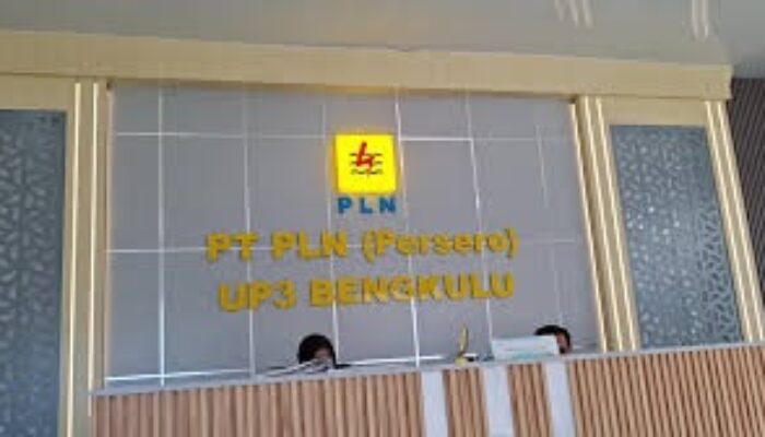 Waspadai Musim Penghujan, PLN Ajak Masyarakat Jaga Energi dari Rumah