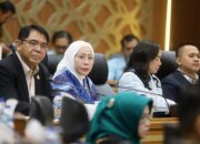 Lewat RUU Desain Industri, Lola Nelria Ingin Produk Industri Nasional Tak Mudah Diklaim