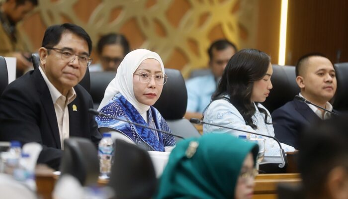 Lewat RUU Desain Industri, Lola Nelria Ingin Produk Industri Nasional Tak Mudah Diklaim