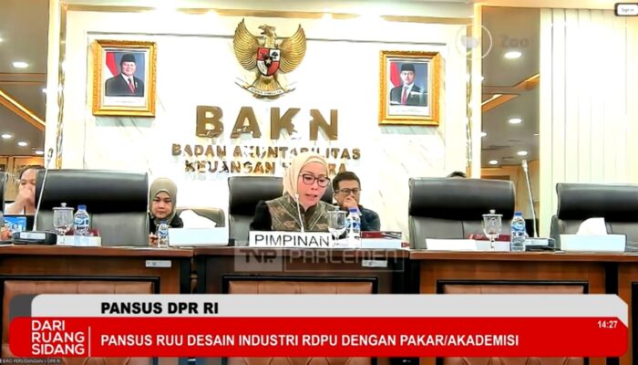 Lola Nelria Pastikan Pansus DPR Serap Aspirasi Luas demi RUU Desain Industri yang Berpihak pada UMKM